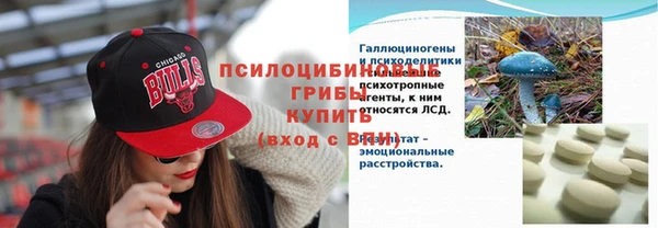 дмт Белокуриха