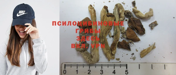apvp Белоозёрский