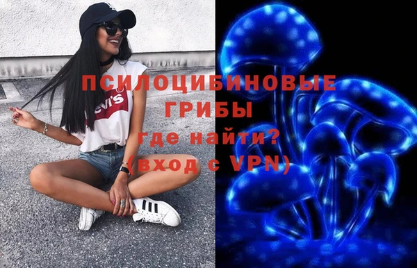 дмт Белокуриха
